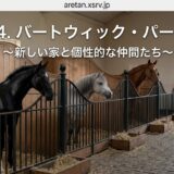 Indoor horse stable with three horses in stalls and a person at the window, outside visible green field.