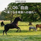 Black horse gallops across a sunlit green meadow with two grazing horses under a large tree, overlaid with the Japanese title '06. 自由' and subtitle '~果てなき草原への憧れ~' (freedom theme).