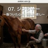 Overlay text reads '07. ジンジャー ~傷ついた心と、優しい癒し~'. An elderly man tends to a wounded brown horse in a wooden stable while a younger man holds a metal bucket, conveying care and healing.