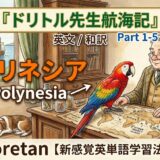 Cartoon scholar sits at a wooden desk with a colorful parrot on a map, teaching Polynesia; books, jars, a sleeping dog, and a globe nearby in a cozy library.