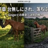 Book cover with three horses (two black, one chestnut) in a field and a man leading a horse along a cobblestone path; bold Japanese title across the top: 第27章 台無しにされ、落ちぶれて ~ Gingerとの再会、決別の時 ~
