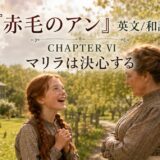 Book cover for 『赤毛のアン』 Chapter VI: a red-haired girl with braided hair speaks joyfully to an older woman in a sunlit country yard with a house in the background.